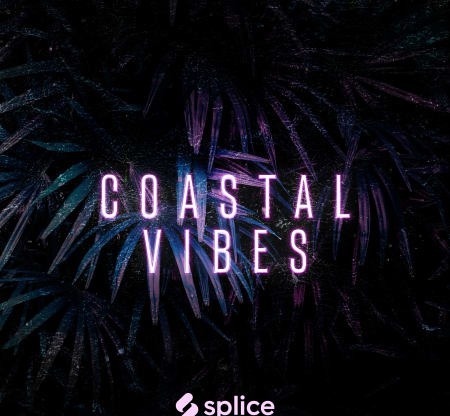 Splice Originals Coastal Vibes Reggaeton WAV